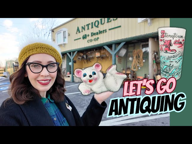 What TREASURES will we find today?! Vintage and Collectibles Shopping in Adamstown PA