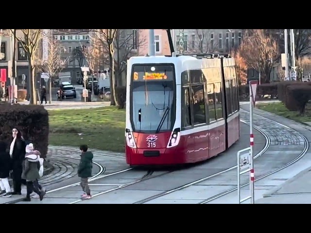 Trams in Vienna 🇦🇹 Austria