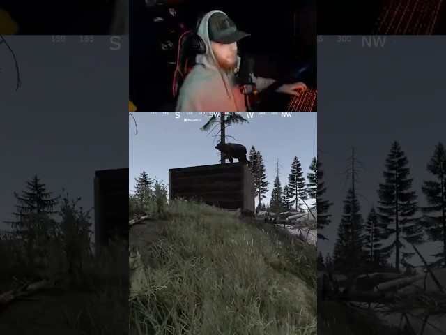 “Imagine he jumps down”💀 #dayz #pc #gaming #fyp #twitch