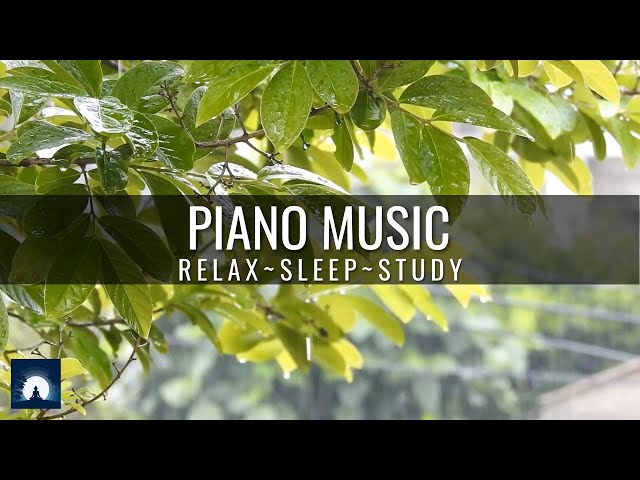 Relaxing Piano Music with Rain Sounds for Sleep, Study & Concentration