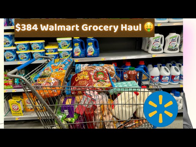 Walmart Food stamp  Grocery Haul for family of 6🤑