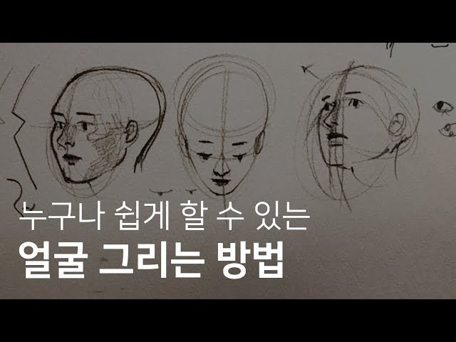 Face drawing lecture for beginners / LEEYEON