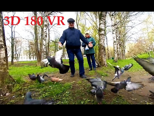 3D 180 VR  Vologda Russia.