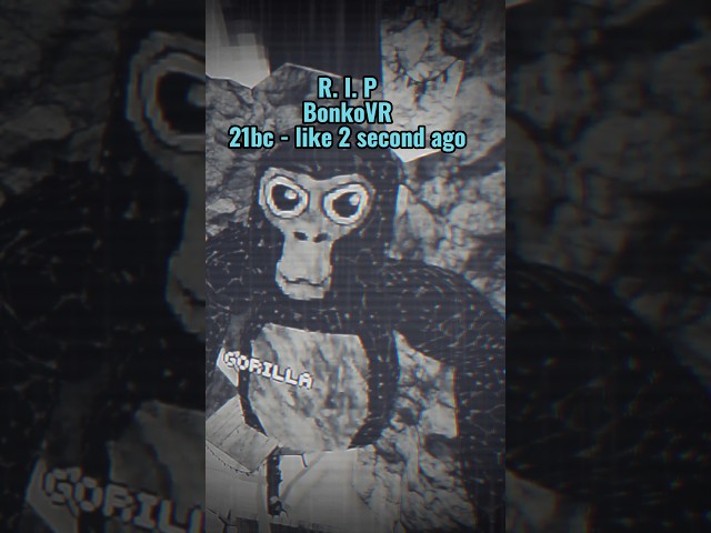 HEY STUPID MONKEY! #shorts #gtag #gorillatag #vr #oculus #skit #funny