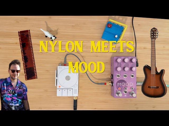 Acoustic Nylon Guitar meets Chase Bliss Mood MKII (Ibanez FRH10N)