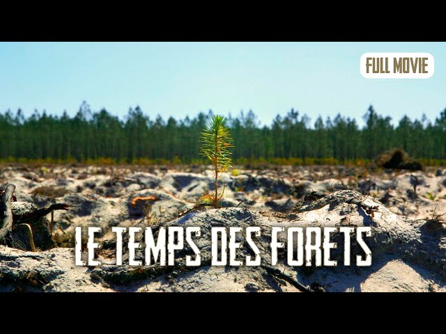 Le temps des forêts | French Full Movie | Documentary