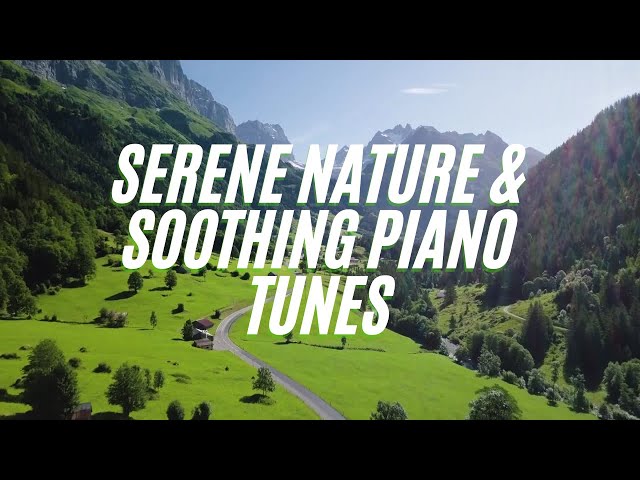 Serene Piano & Nature: Soothing Melodies with Peaceful Green Landscapes