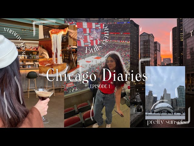 we got kicked out the bulls game . . . CHICAGO VLOG