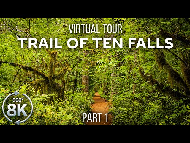 Virtual Hike 360° VR - Forest Walk along the Trail of Ten Falls - 8K Virtual Relaxation - Part 1