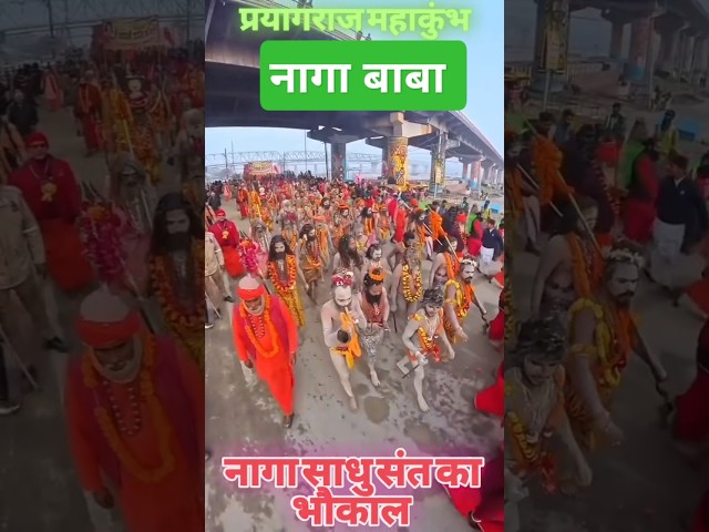 Naga sadhu sant aye prayagraj mahakumbh mela #mahakumbh2025​ #prayagraj​#महाकुंभ #shortvideo #viral