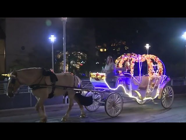 San Antonio to phase out horse carriages by 2030 in compromise plan