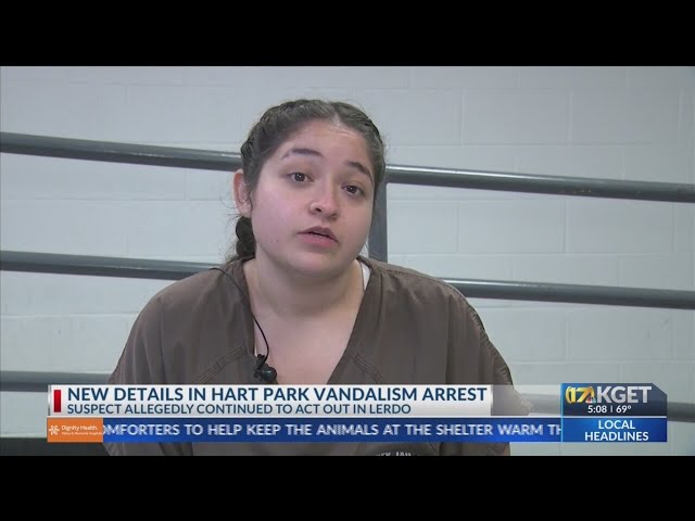 Woman who removed Hart Park flag kicked deputy after arrest: reports