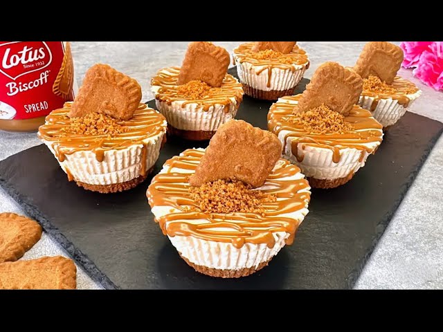 No-Bake Mini Biscoff Cheesecake Recipe – Easy & Delicious Dessert!