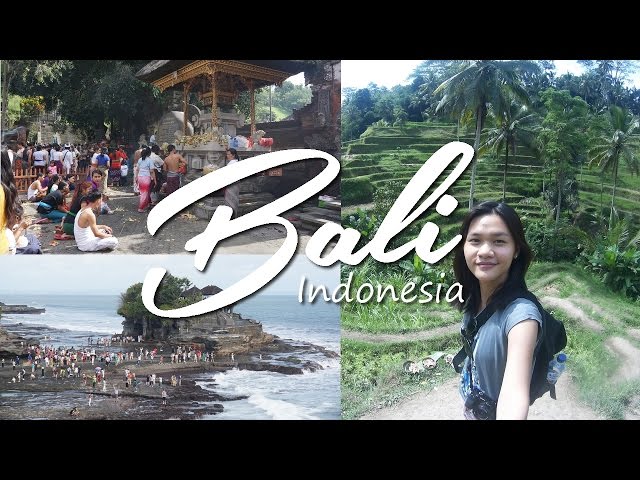 What happened in BALI, INDONESIA | Solo travel