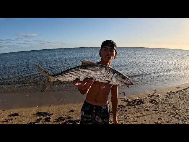 BIT by an EEL while Torching | Tako action | Oio action | Hawai’i fishing