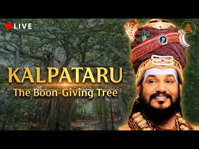 #Fulfill Your #prayer: LIVE Darshan of #Kalpataru in Adi #Kailasa | #wish-Fulfilling #Banyan Tree