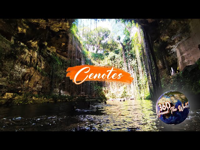 Virtual tour swimming in the Cenotes of Yucatan! 4K VR 360