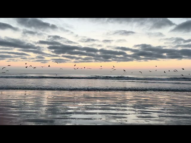 Nothing but 5 Minutes of Ocean Sunrise Happiness