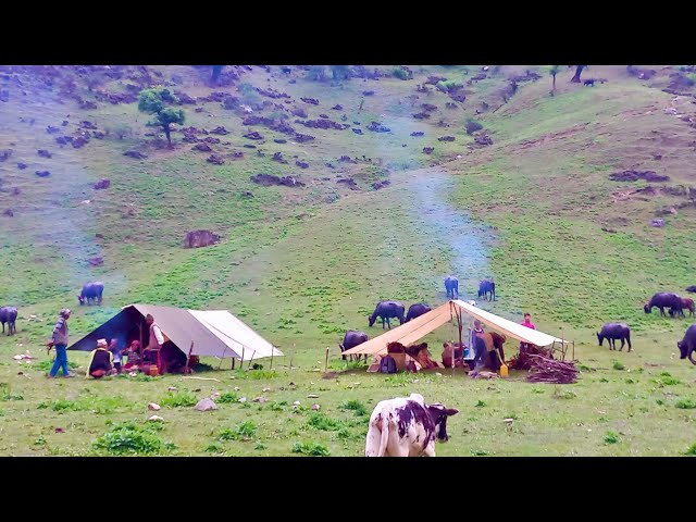 Organic Nepali Mountain Village Shepherds Life in Nepal। Most Peaceful & Relaxation Life in Summer