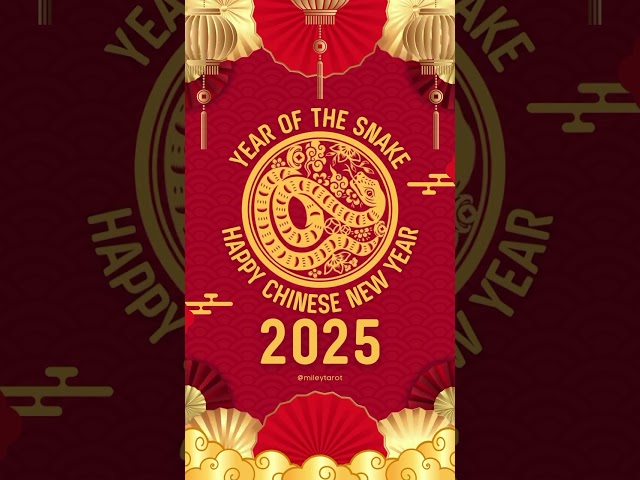 The 2025 Chinese New Year Celebration You Can't Miss!