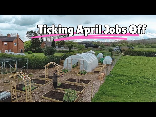 Planting Oca, Peas & Onions | Bean Support Build