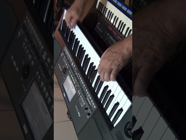 Baby Elephant Walk - Henry Mancini - Cover by Dries Delport  - Preformed on KORG PA600  @ddel8032