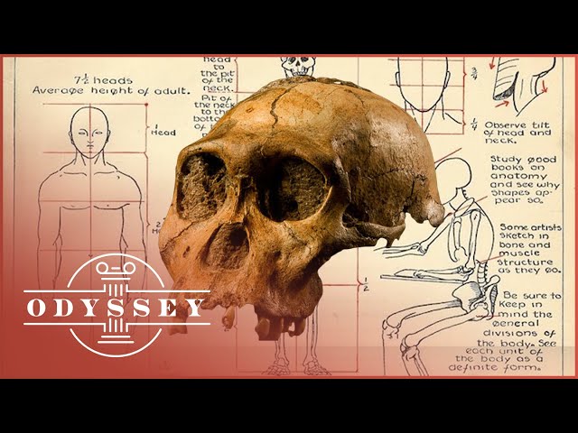 Are These Remains Our Ancestors From Two-Million Years Ago? | Mystery Of Our Ancestors | Odyssey