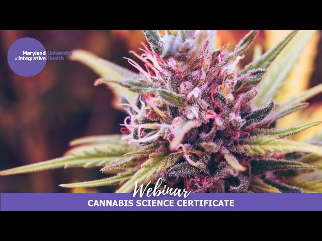 Enhance your Herbal Career with a Cannabis Science Certificate