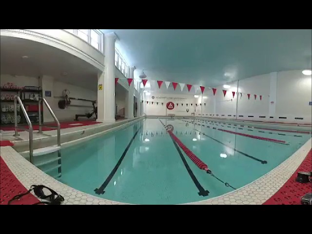 Underwater 360 Live Stream Test (Garmin Virb 360)