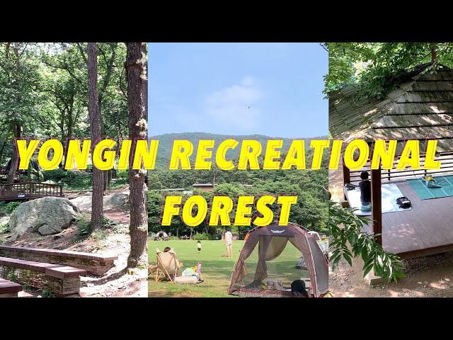 Yongin Recreational Forest, Walking around Korea