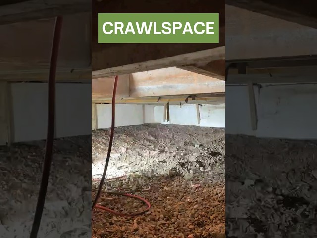 Watch a Crawlspace Transformation in Just Seconds! #crawlspaceencapsulation #dbsrepair