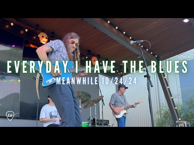 Every Day I Have The Blues | T-Bone Walker Version Cover