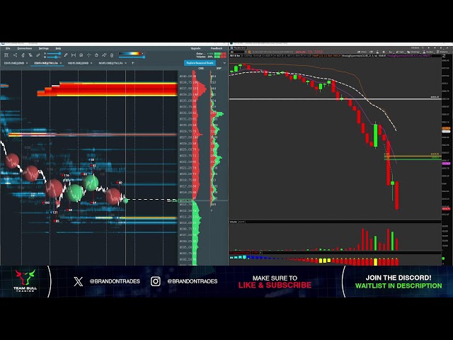 Live Day Trading