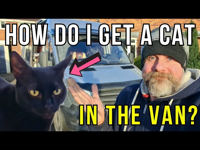 Daily Vlog #2: Our Cat Hates the Van, and Ella’s Having Doubts!