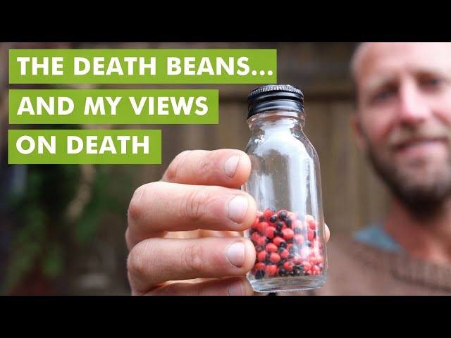 The Death Beans… and My Views on Death