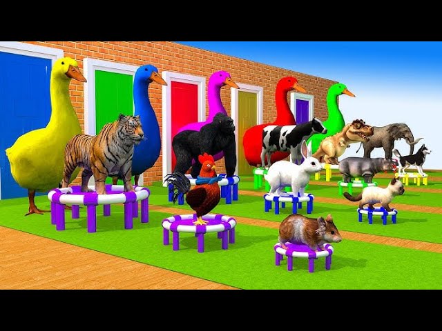 Paint Animals cow lion dinosaur elephant bear chicken leopard hippo dog cat - #paintanimals #lion