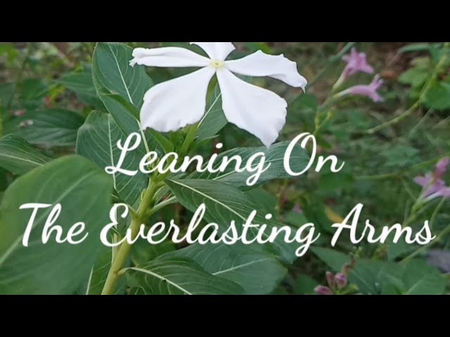 LEANING ON THE EVERLASTING ARMS | Hymn | Lyrics