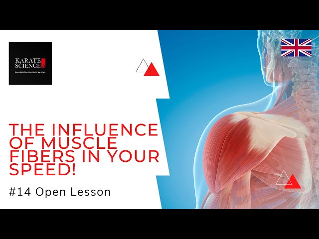 The Influence of Muscle Fibers in Speed for Karate [LESSON #14]