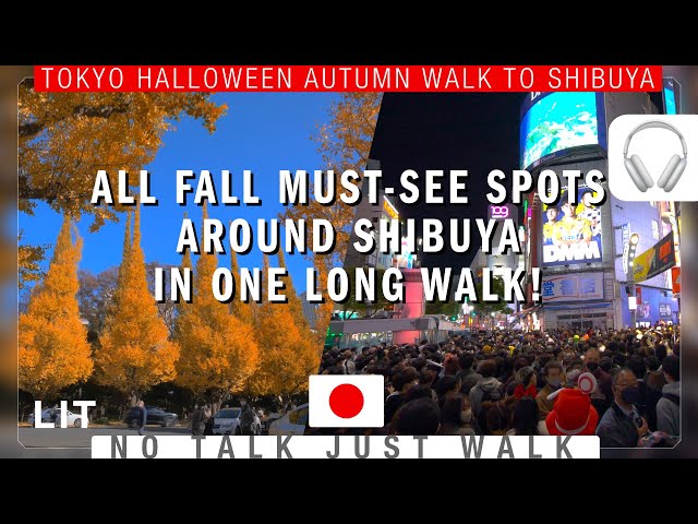 [4K HDR] Fall Walk in Tokyo - Meiji Shrine Outer Garden to Halloween Shibuya Crossing🎃外苑→原宿→渋谷ハロウィン