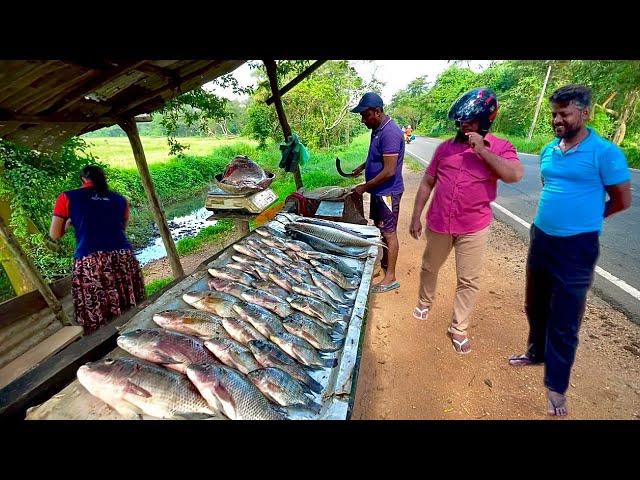 Amazing!! Fisherman's Village Street Market Speed Fish Cutting Skills