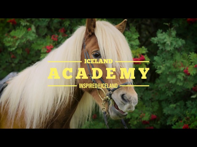 A Beginners Guide to Sagas and Horses | Iceland Academy