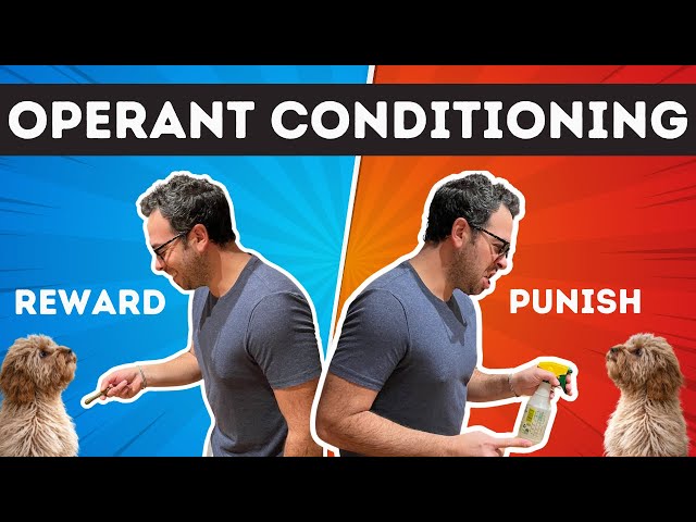 Operant Conditioning | Instrumental Learning