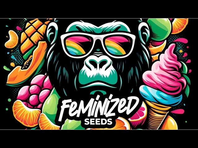 Limited-edition Feminized Photoperiod Strains | Fast Buds New Releases