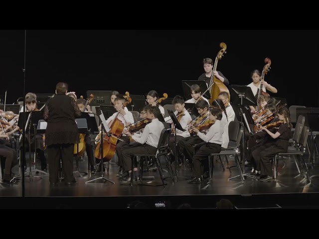 New Jersey Youth Symphony • Primo Strings / May 11, 2024