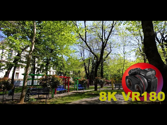 SPRING ASMR in Parcul Tribunalului which is a local park in BUCHAREST ROMANIA 8K 4K VR180 3D Travel