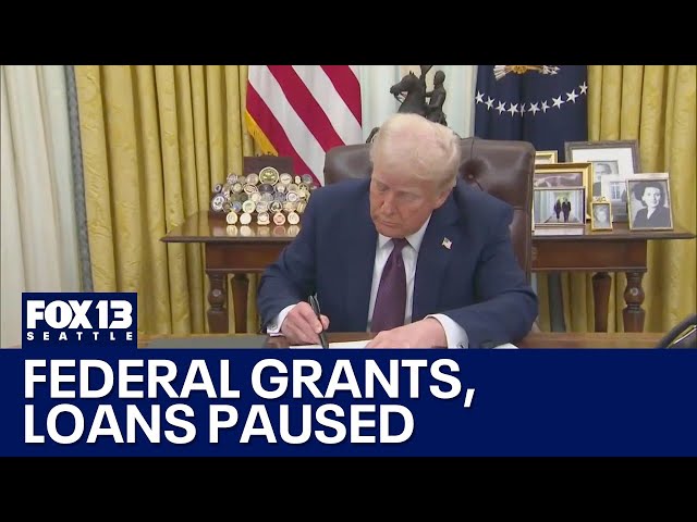 All federal grants, loan disbursement paused