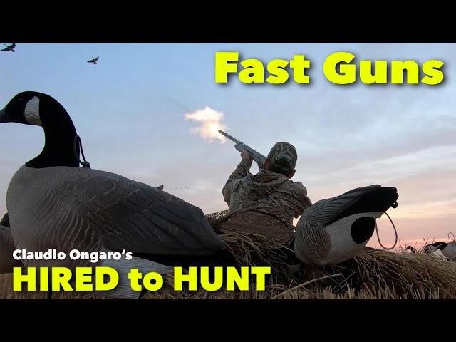 Hired to Hunt : Fast Guns ... Goose Hunting Duck Hunting ... Hired to Hunt Season 8 #2 in ALBERTA