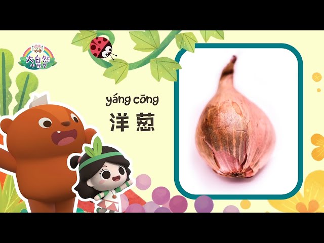 Early Learners | Don't Cry Onion Tears | Emmy&GooRoo Nature Class | Kids Cartoons [SUBS]