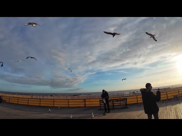 《且聽風吟》朴樹纽约冬的Coney Island.#紐約