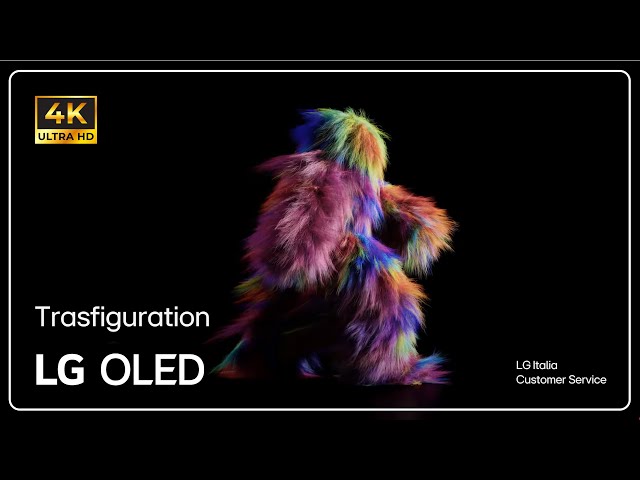 TV LG | Video DEMO TV in 4K HDR 60 Fps | Transfiguration | 2025